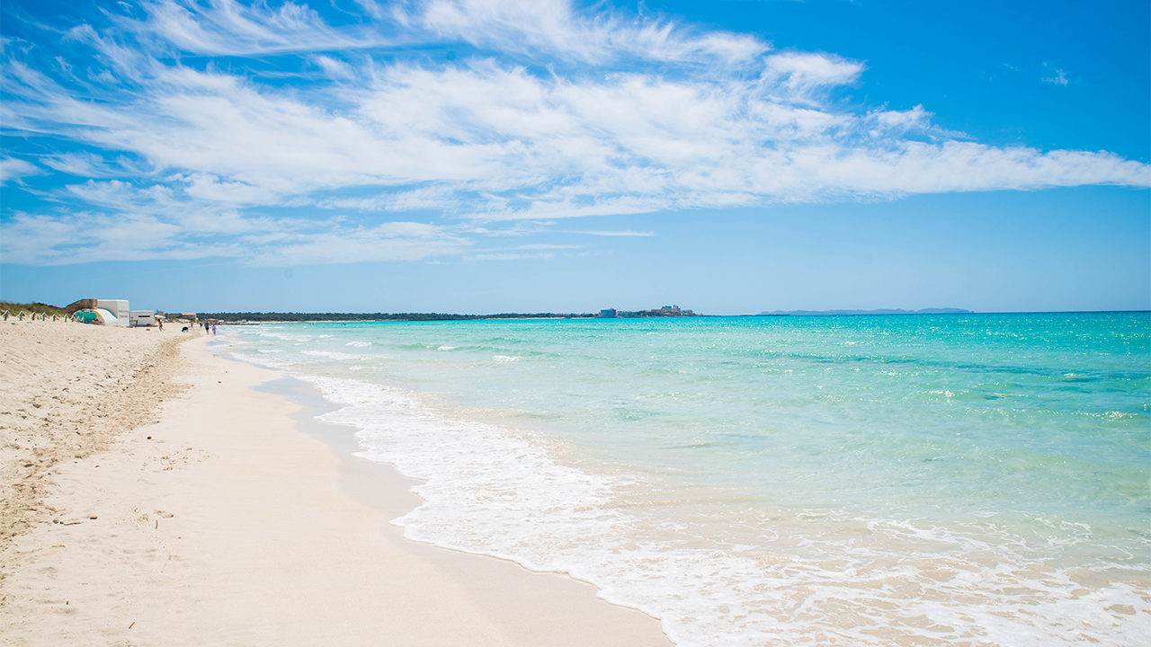 Es Trenc – Mallorcas vita paradisstrand